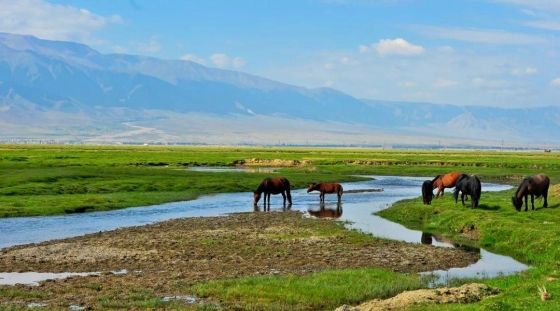 Hami Dananhu Grassland