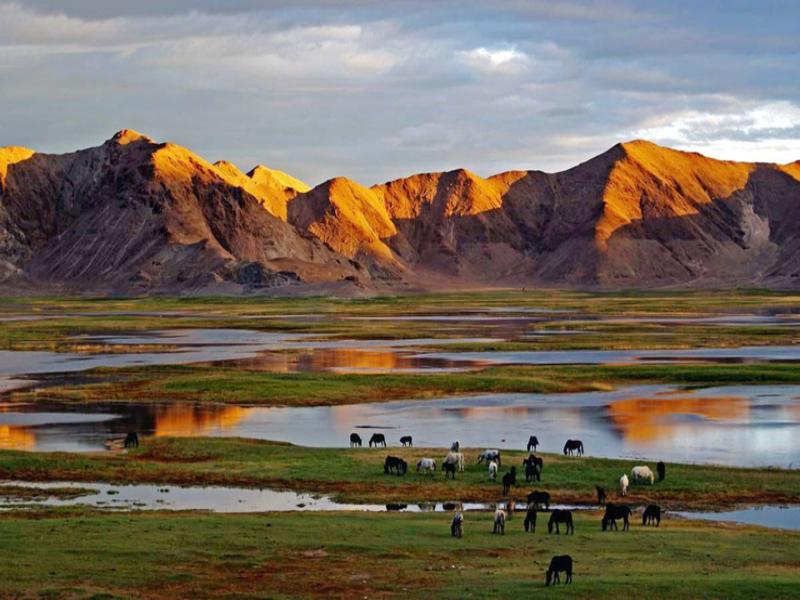 Hoh Xil, a Miracle of Nature  