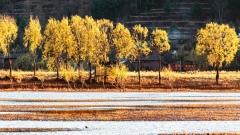 Yunnan Weather in February: The Climate and Travel Insights of Yunnan in Early Warm Spring