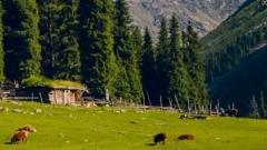 Nanjiang Weather Forecast: Essential Guide for Foreign Travelers to Enjoy a Smooth Trip in Nanjiang