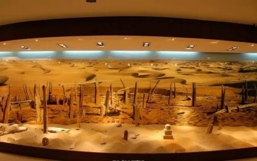 f05a6fd5d445d4618368f24eb23f1848