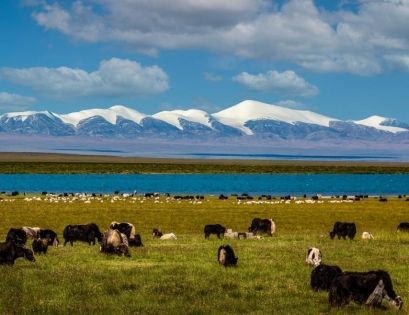 Roaming China’s landforms: A Wonderful Exploration Journey from Snowy Plateaus to Beaches