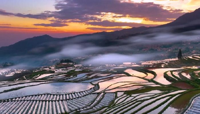 Yuanyang Terraced Fields at Sunrise