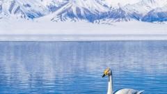 Xinjiang Weather Forecast: Traveling to Northern and Southern Xinjiang