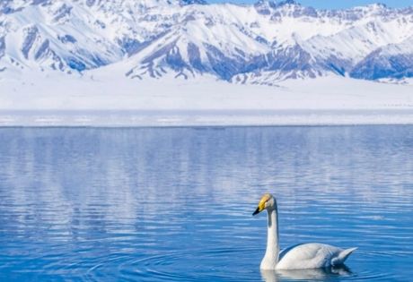 Xinjiang Weather Forecast: Traveling to Northern and Southern Xinjiang