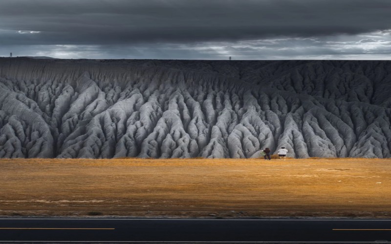 Limited edition: Xinjiang Apricot Blossom 10 days