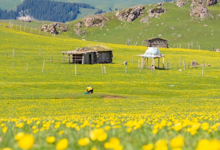 Spring in Ili, Xinjiang