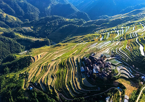 Jiabang Rice Terraces in the Congjiang County
