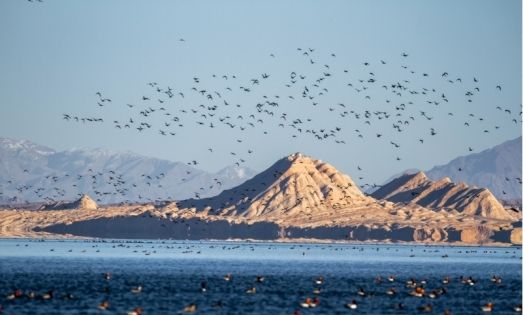 The Qaidam Basin Lake