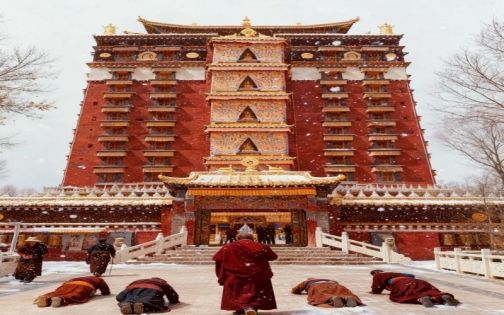 放弃哈尔滨❗冬天来甘南旅游，真的赢麻了_4_1001户外旅行_来自小红书网页版