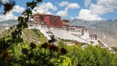 Nyingchi vs Lhasa: Which Is Better for Your First Trip to Tibet?