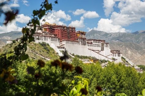 Nyingchi vs Lhasa: Which Is Better for Your First Trip to Tibet?