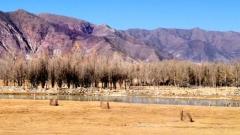 Explore Southeast Tibet：The Milashan Tunnel Smoothens Your Tibetan Journey