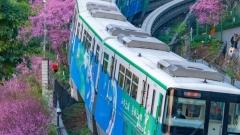 When is the Best Time to Visit Chongqing? Experience the Romantic 3D Mountain City in Spring and Autumn