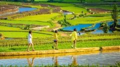 Yunnan Seasonal Weather Guide  - When to Visit & What to Expect