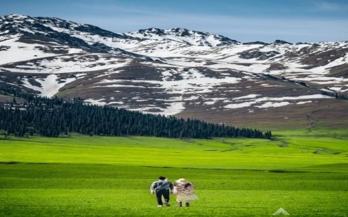 那拉提空中草原，美到失语！🏔️🌲_9_Peter-Zj_来自小红书网页版