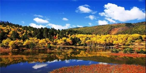 Best Time to Visit Yunnan Kunming: Seasonal Attractions, Food & Itinerary Tips for the Spring City