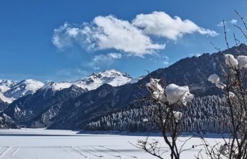 When Is the Best Time to Visit Northern Xinjiang? Encounter Diverse Scenery as Seasons Change