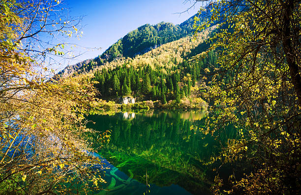 6-Day Nature Tour: Chongqing, Wulong Karst & Jiuzhaigou Valley