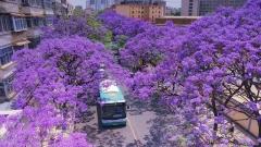 Yunnan Weather in April: The Perfect Guide for Spring Travel