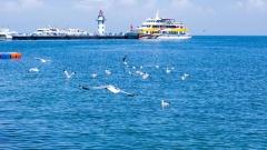 Qinghai Travel Guide: Beautiful Scenery in All Seasons & Best Time to Visit