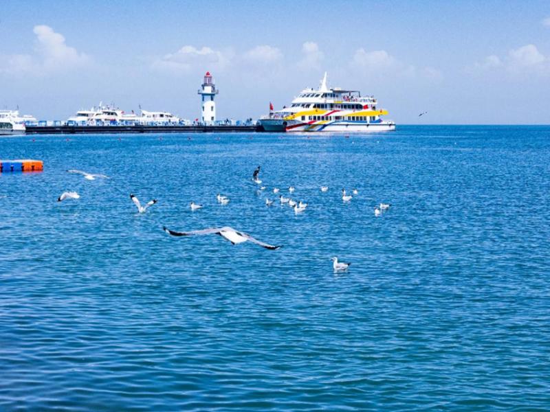Qinghai Lake, a Must-Visit Destination  