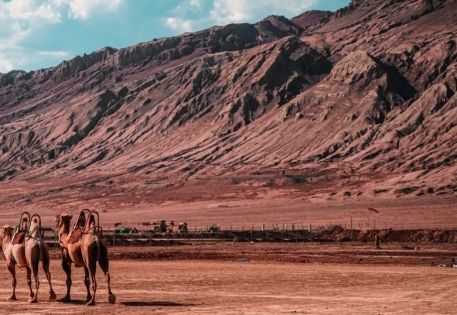 Complete Silk Road Attractions Guide: Trace Ancient Road, Admire Desert and Cultural Blends