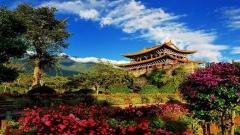 Yunnan Weather in January: Exclusive Travel Climate and Travel Guide for Overseas Tourists