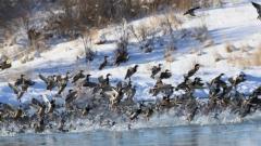 When Is the Best Time to Visit Northern Xinjiang? Encounter Diverse Scenery as Seasons Change