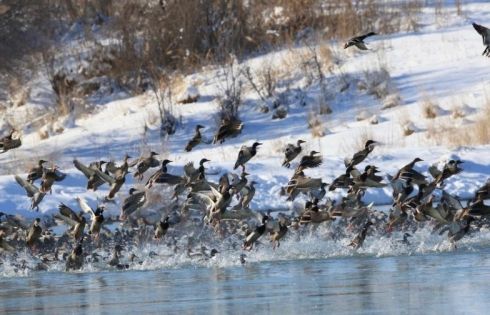 When Is the Best Time to Visit Northern Xinjiang? Encounter Diverse Scenery as Seasons Change