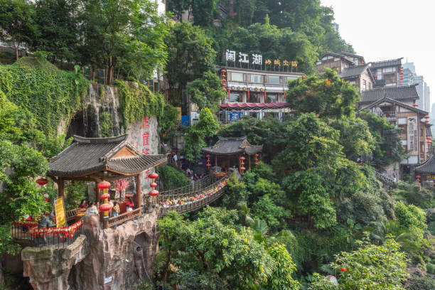 3-Day Pandas & City Tour: Chongqing & Chengdu by Bullet Train