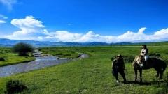 Sangke Grassland Travel Guide: The Most Free-Spirited Grassland in Gannan