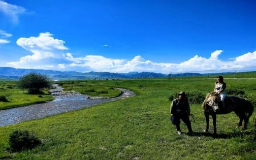 Sangke Grassland Travel Guide: The Most Free-Spirited Grassland in Gannan