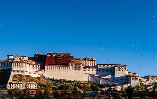 Xining to Lhasa Train: A Journey Through the Plateau Mysteries on the Heavenly Road