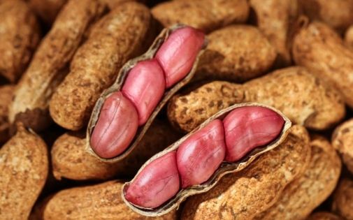 A Taste of Snowy Jiangnan|A Complete Guide to Nyingchi Specialties