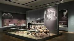 Tibet Museum Visitor Guide: Reservations, Key Exhibitions & Cultural Insights