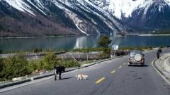 Outdoor Adventures in Tibet: Trekking and Cycling Across the Snowy Plateau