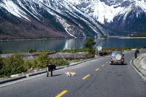 Outdoor Adventures in Tibet: Trekking and Cycling Across the Snowy Plateau