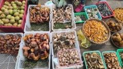 What Specialties to Buy in Yunnan: Where to Buy, How to Pick, How to Bring Them Home