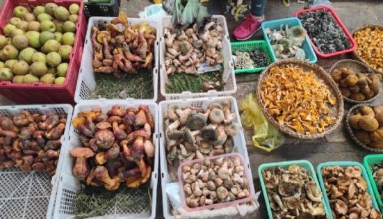 What Specialties to Buy in Yunnan: Where to Buy, How to Pick, How to Bring Them Home
