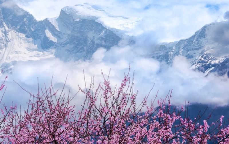 Detailed Explanation of Tibet’s Weather in April – Spring Climate ...