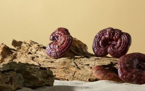 A Taste of Snowy Jiangnan|A Complete Guide to Nyingchi Specialties