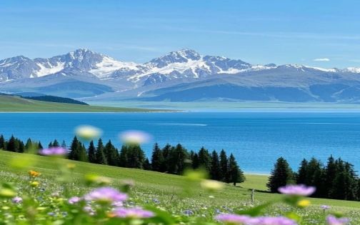 接下来的赛里木湖，才是一万次的春和景明_2_九哥户外旅游_来自小红书网页版