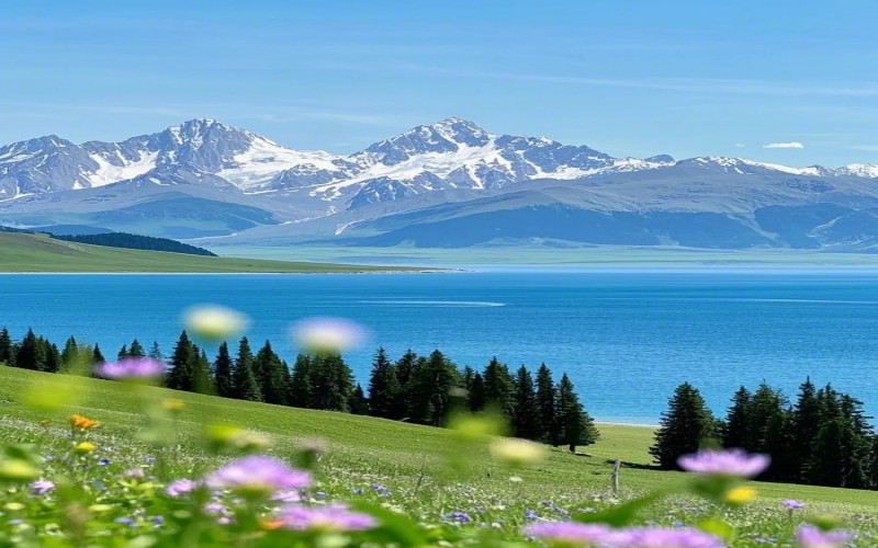 8-Day Northern Xinjiang Tour | Departure from Urumqi to Snowy Mountains & Grasslands