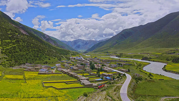 Nagqu Grassland in Summer