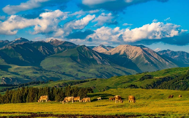 North Xinjiang 12-Day Small Group Tour | Urumqi, Kanas, Sayram Lake & Duku Highway