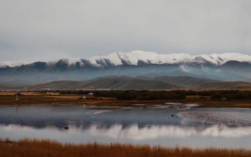 Sangke Grassland Travel Guide: The Most Free-Spirited Grassland in Gannan