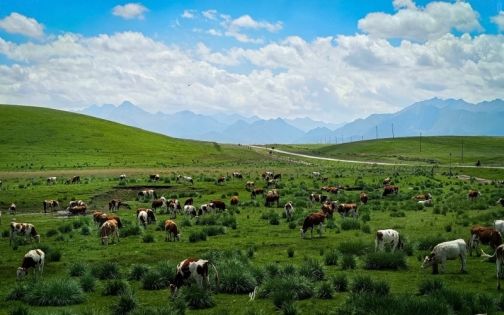 我慢了N拍的全屏图终于来了·河西走廊之旅_1_夜风_来自小红书网页版