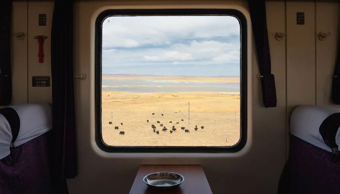 Qinghai-Tibet Railway Train