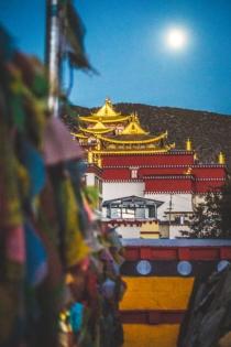 Travel Through Tibet by Festival: A Month-by-Month Guide to Tibet’s Major Festivals (January–June)